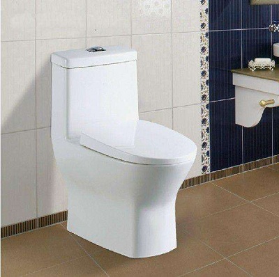 Toilet Seat Cover Molding Machine